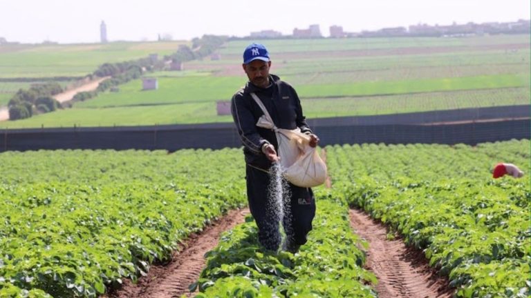 1748560471 d8aad8bad8b7d98ad8a9 d8aed8a7d8b5d8a9 d981d8a7d8b3 d986d98ad988d8b2.jpeg