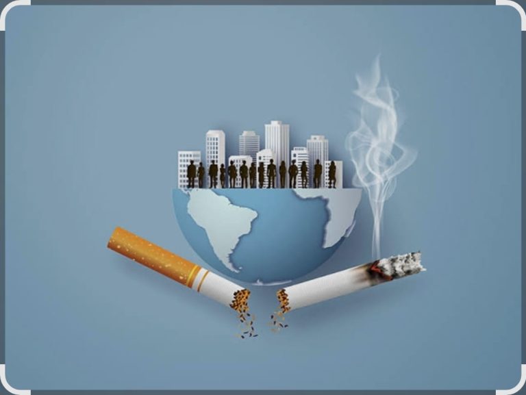 Whatsapp image 2025 05 31 at 09.01.11.jpeg