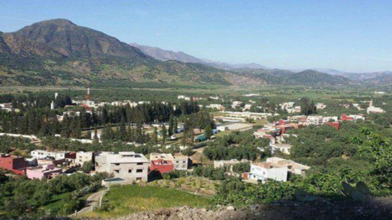 Slider 1736794790whatsapp image 2025 01 13 at 19.43.44.jpeg