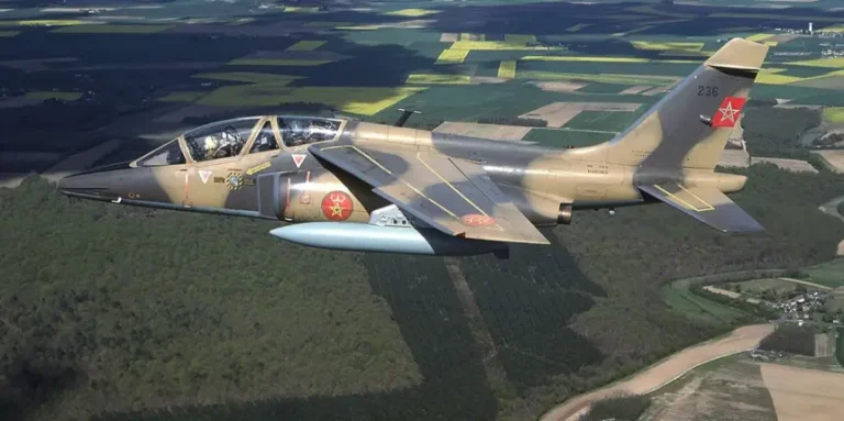 Photo 2025 07 28 11 43 22 1753700045.webp.webp