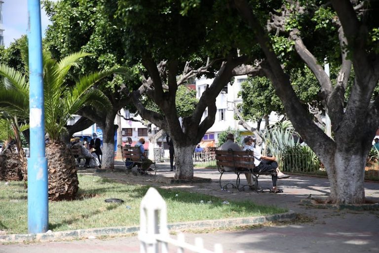 توقعات طقس اليوم الأحد في المغرب Jardin chaleur climat3.jpg