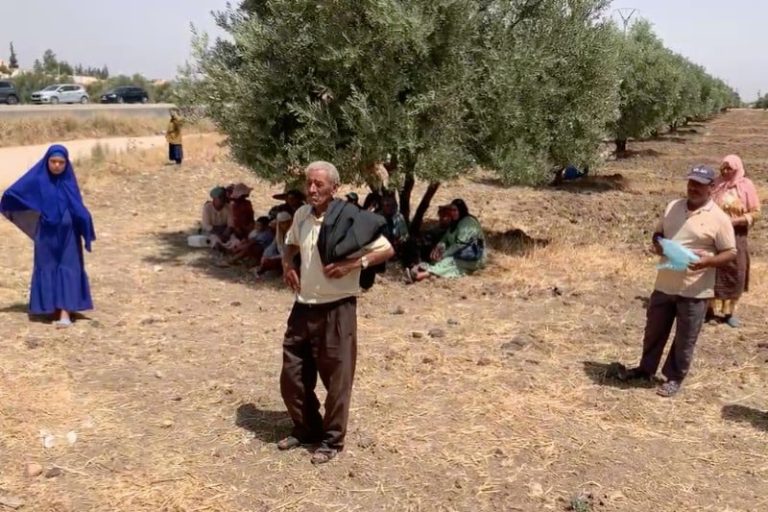 Marche sefrou commune sidi youssef ben ahmed.jpg