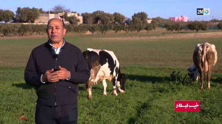 1740318510khir lblad.png