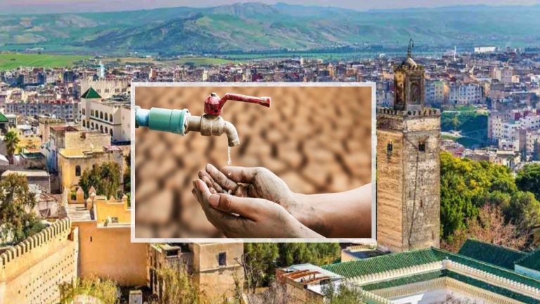 Whatsapp image 2023 07 17 at 15.06.14.jpeg