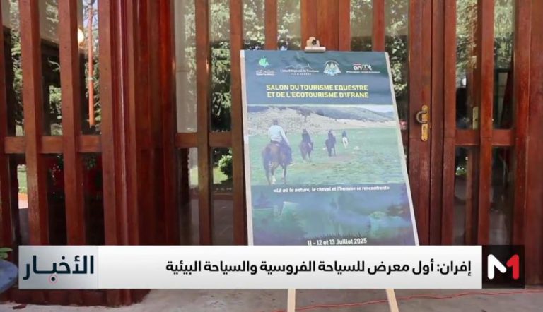 Vis 0713202515484864.jpg