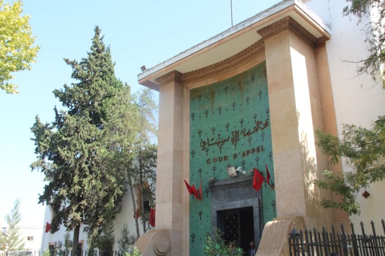 1450407104102712110 1024x683.jpg