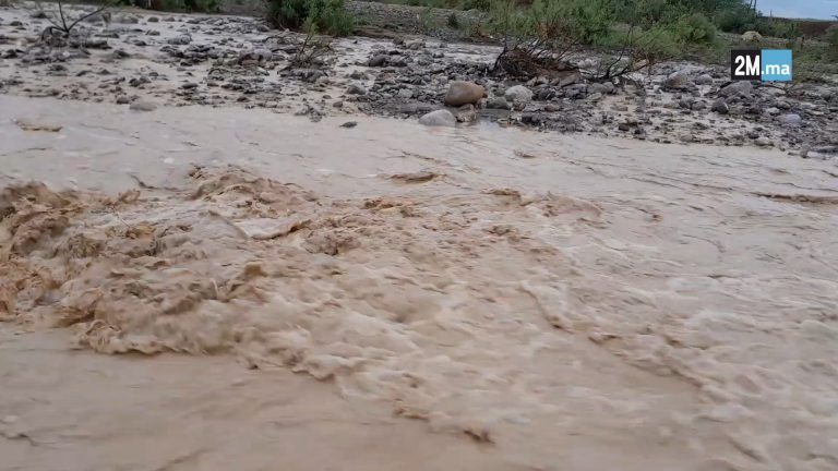 1744547290video.guru 20250413 103828360.png