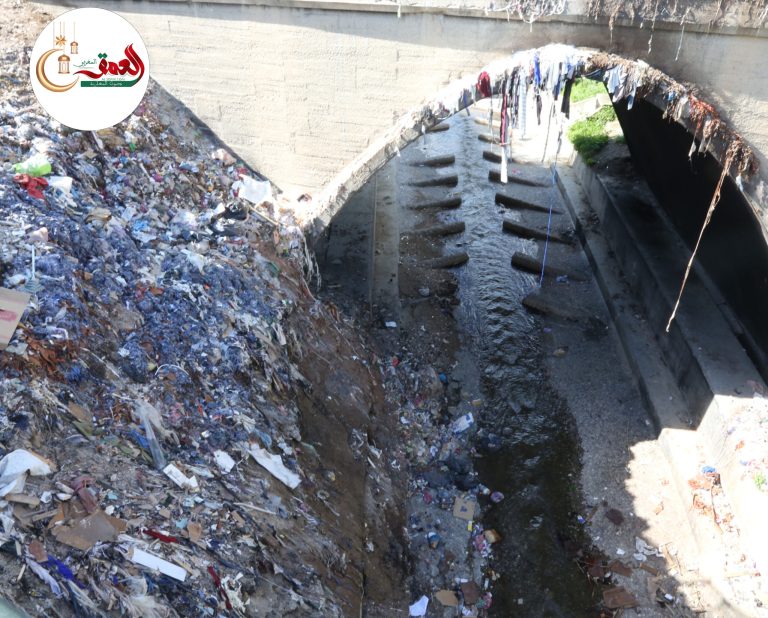 67f110bdbba50 scaled.jpg