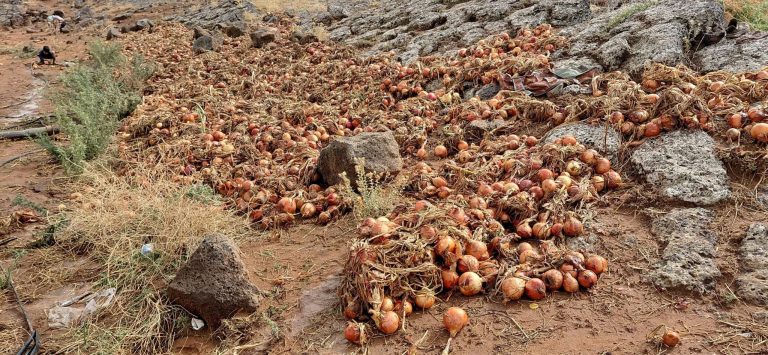 68d05b45c692d scaled.jpg