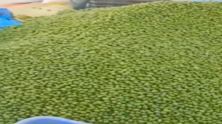 Slider 1757957710inbound7521917411304252407.jpg