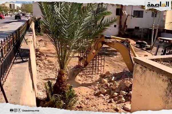 فاس..تدخل السلطات المحلية لتنقية حديقة ماجد بعين قادوس بعد تقارير إعلامية Dewatermark.ai 1761831459874.jpg