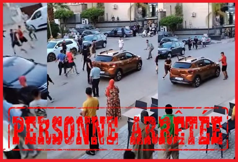 Whatsapp image 2025 06 16 at 11.50.19.jpeg