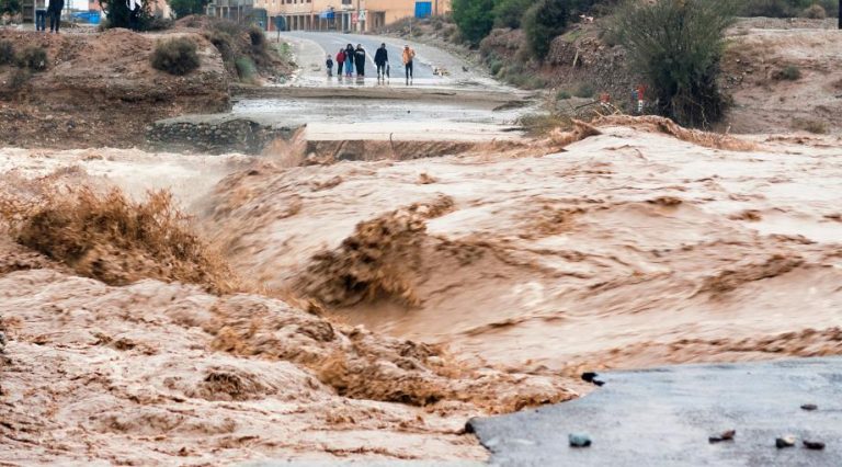 Vis 0928202520120794.jpg