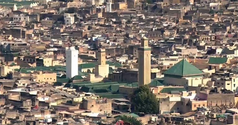 F9a7ffe0 c63e 44a8 b1f8 267f8a6fd720.jpeg