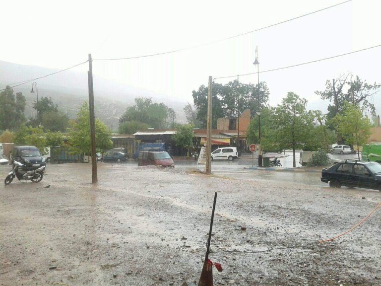 116342833 160007112282682 6134741357018035579 o.jpg