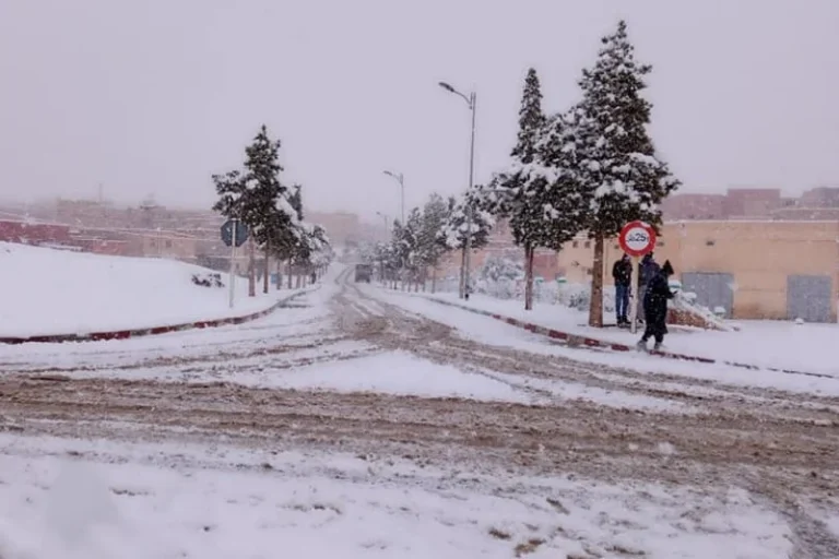 B38ffac8 e008 411f 9cef 2770eae46baa.webp.webp