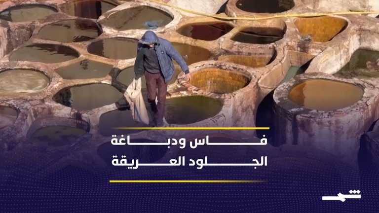 1768755460 maxresdefault.jpg