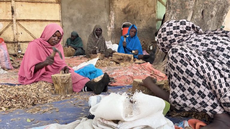 Image 1769070486.jpg