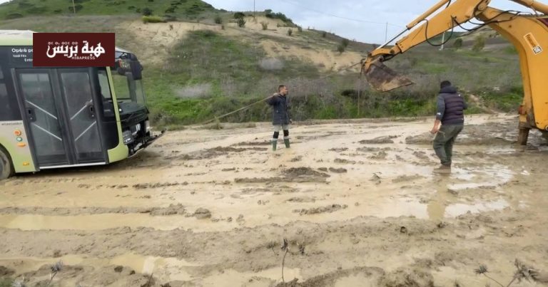 Whatsapp image 2026 02 04 at 20 25 51 1024x569 d496b257.jpg